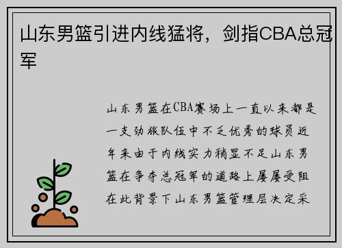 山东男篮引进内线猛将，剑指CBA总冠军