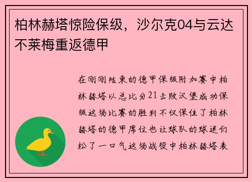 柏林赫塔惊险保级，沙尔克04与云达不莱梅重返德甲